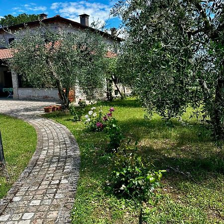 La Bertinora Bed & Breakfast Villa Verucchio Dış mekan fotoğraf